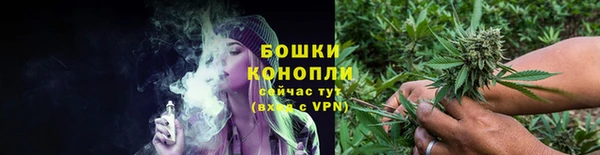 шишки Волосово