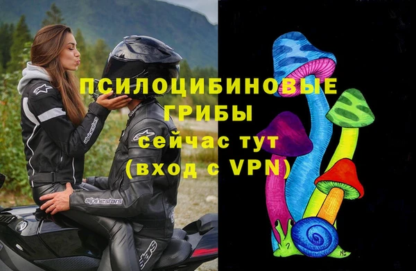 шишки Волосово