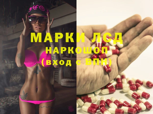 гашик Верея