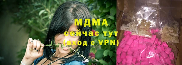 гашик Верея