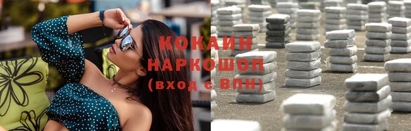 гидра Володарск