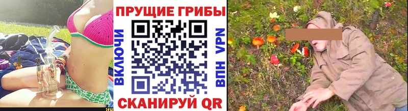 Псилоцибиновые грибы Cubensis  дарнет шоп  Любань 